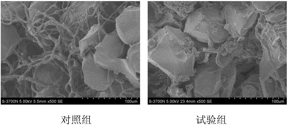 Laying duck additive premix for relieving salted egg yolk core hardening and use thereof