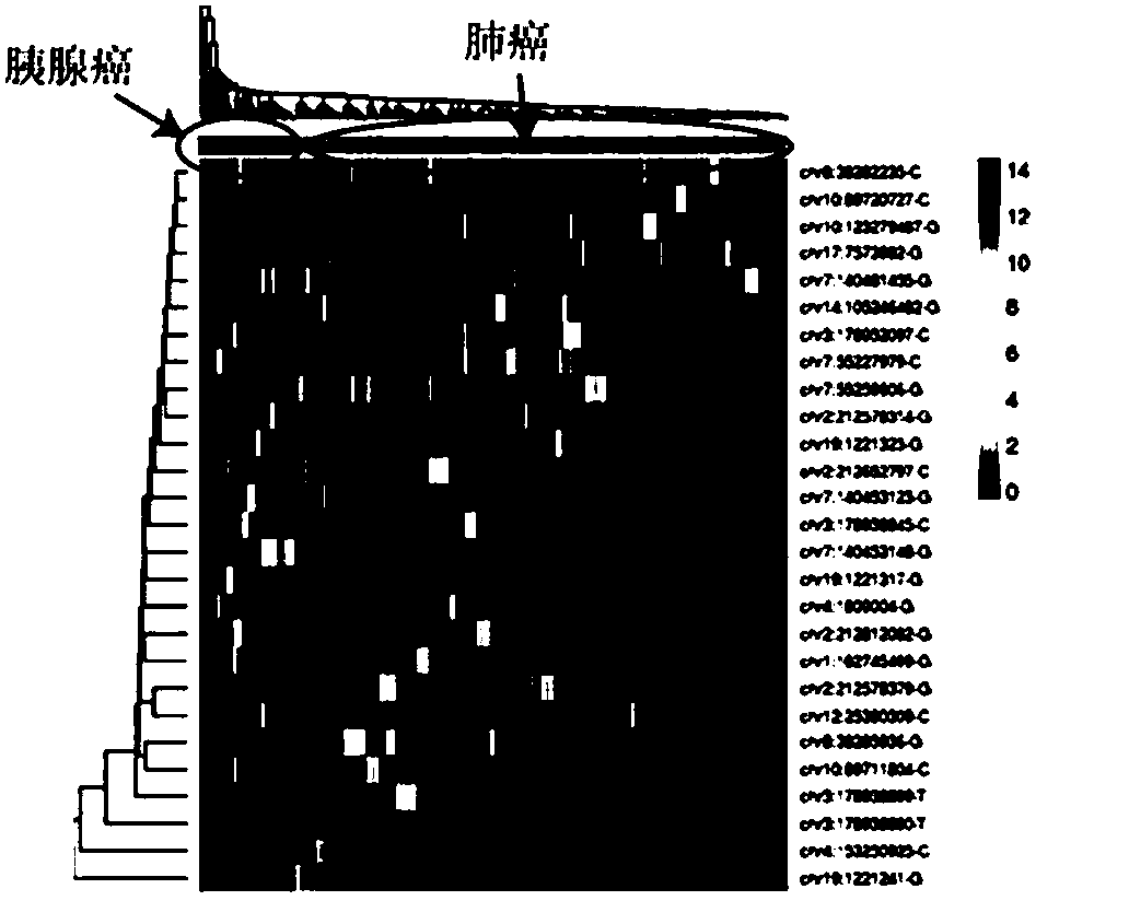 Method and device for extracting biomarker on basis of depth sequencing data of cell free DNAs