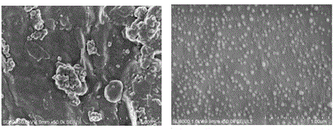 PVDF membrane with antifouling property and preparation method of PVDF membrane with antifouling property