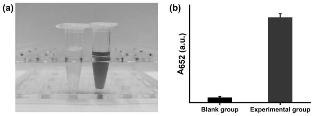 A kind of manganese titanate nanometer material is used as the purposes of imitating enzyme active material