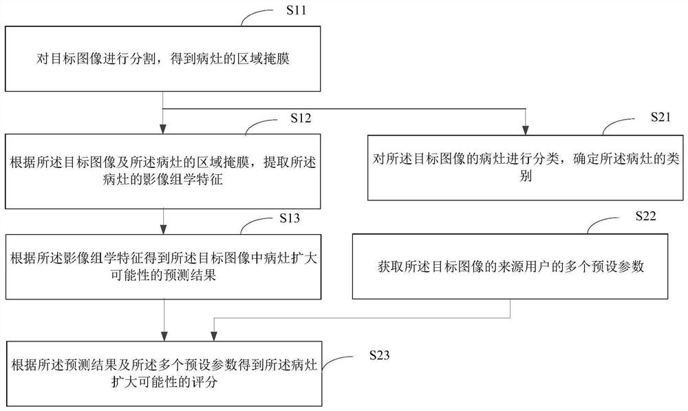 Method and device for cerebral hemorrhage lesion identification and hematoma enlargement prediction