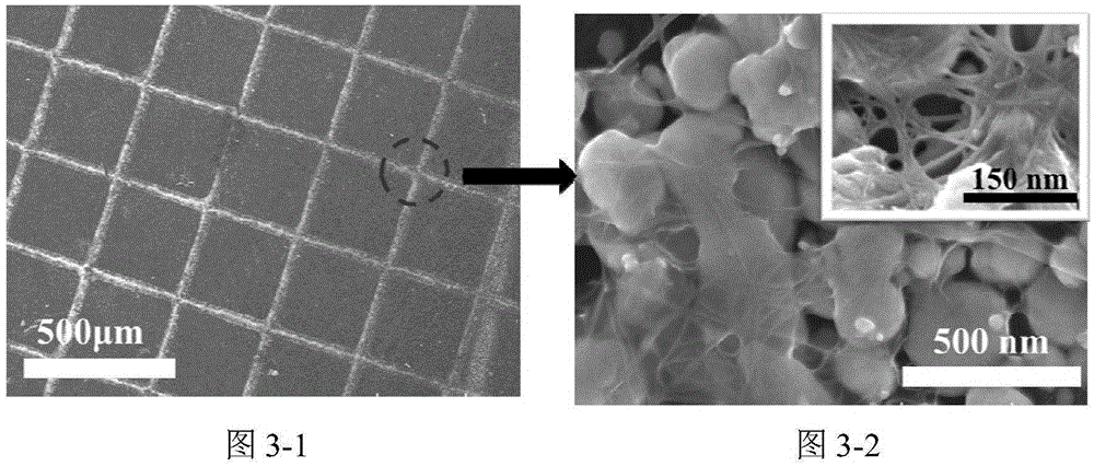 Tensile pressure sensor based on printed transparent electrodes and preparation method thereof