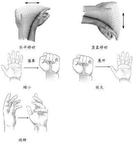 Global climate vector field data visualization method based on VR and gesture interaction technology