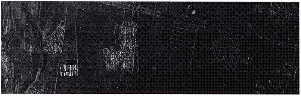 Synthetic aperture radar (SAR) image radiation measurement error correction method