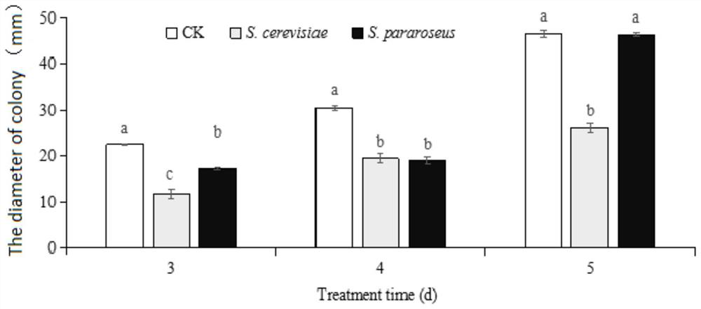 Application of saccharomyces cerevisiae in postharvest disease control, storage and preservation of baby Chinese cabbage