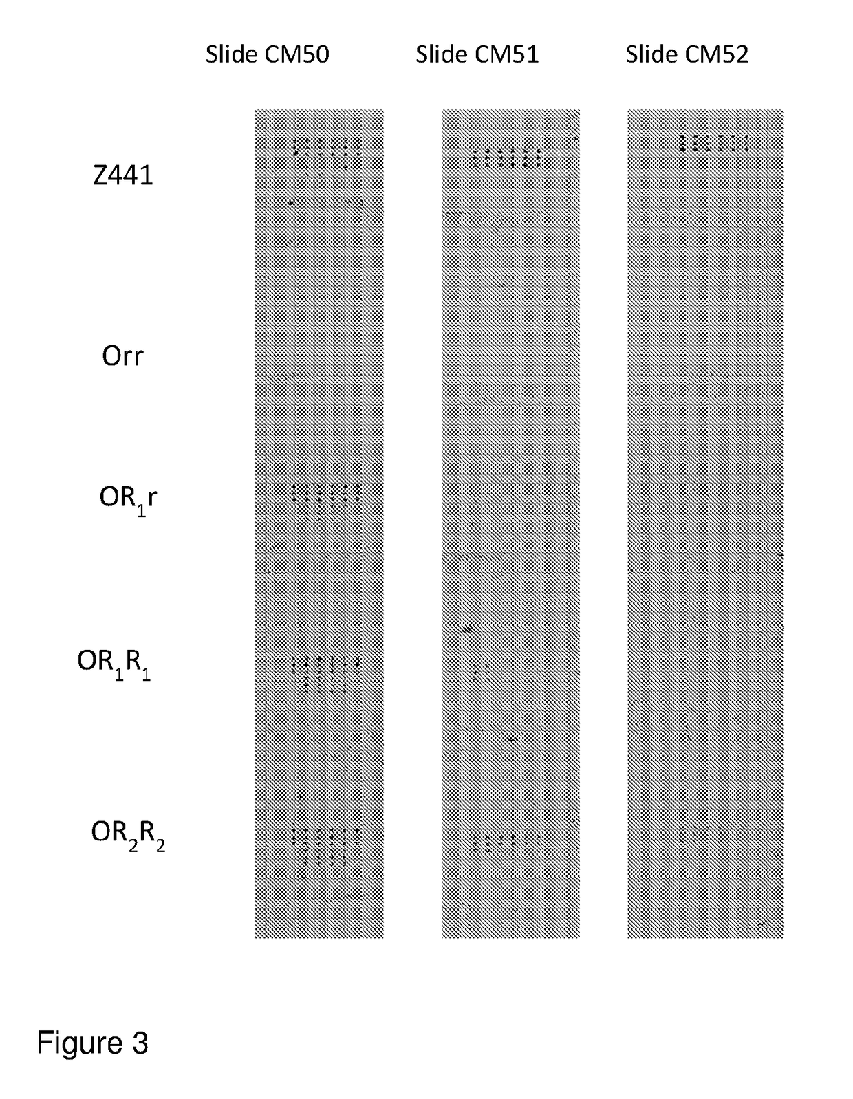 Crossmatching blood samples