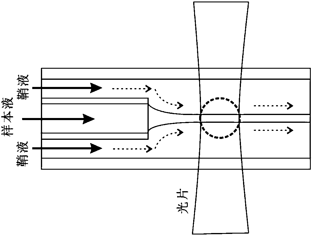 Label-free microfluidic cell instrument and method based on light sheet illumination and sheath flow technology