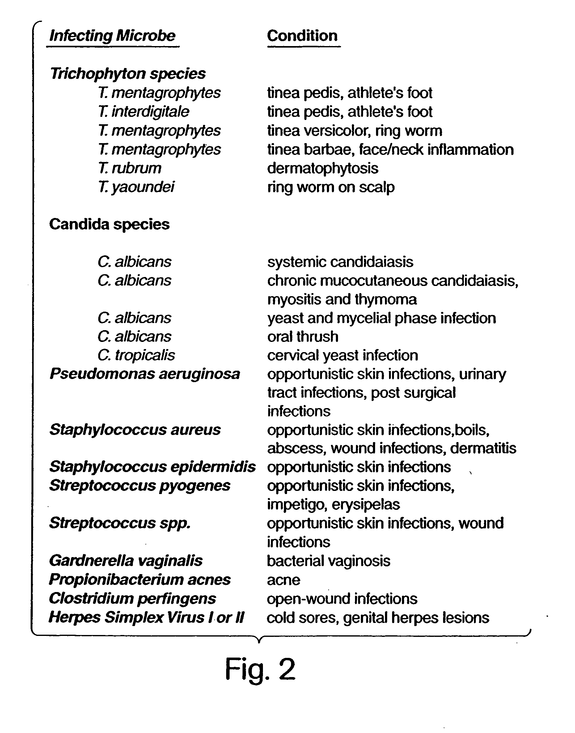 Topical compositions containing Bacillus coagulans extracellular products and uses thereof