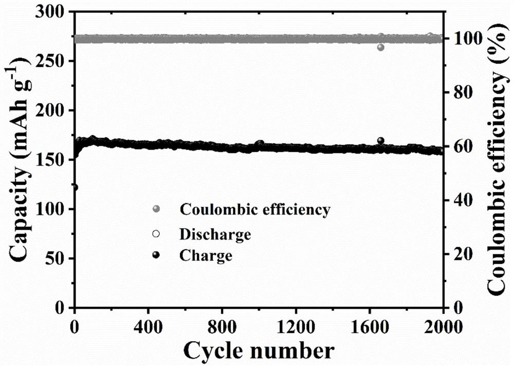 Polycarbonyl polyimide organic electrode material, preparation method and application thereof