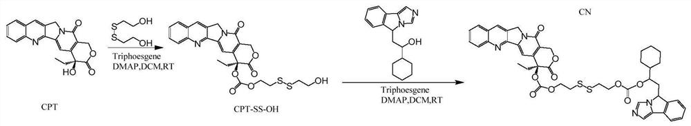 Camptothecin-based dimer compound as well as preparation and application thereof