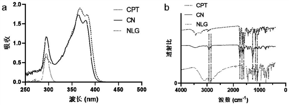 Camptothecin-based dimer compound as well as preparation and application thereof