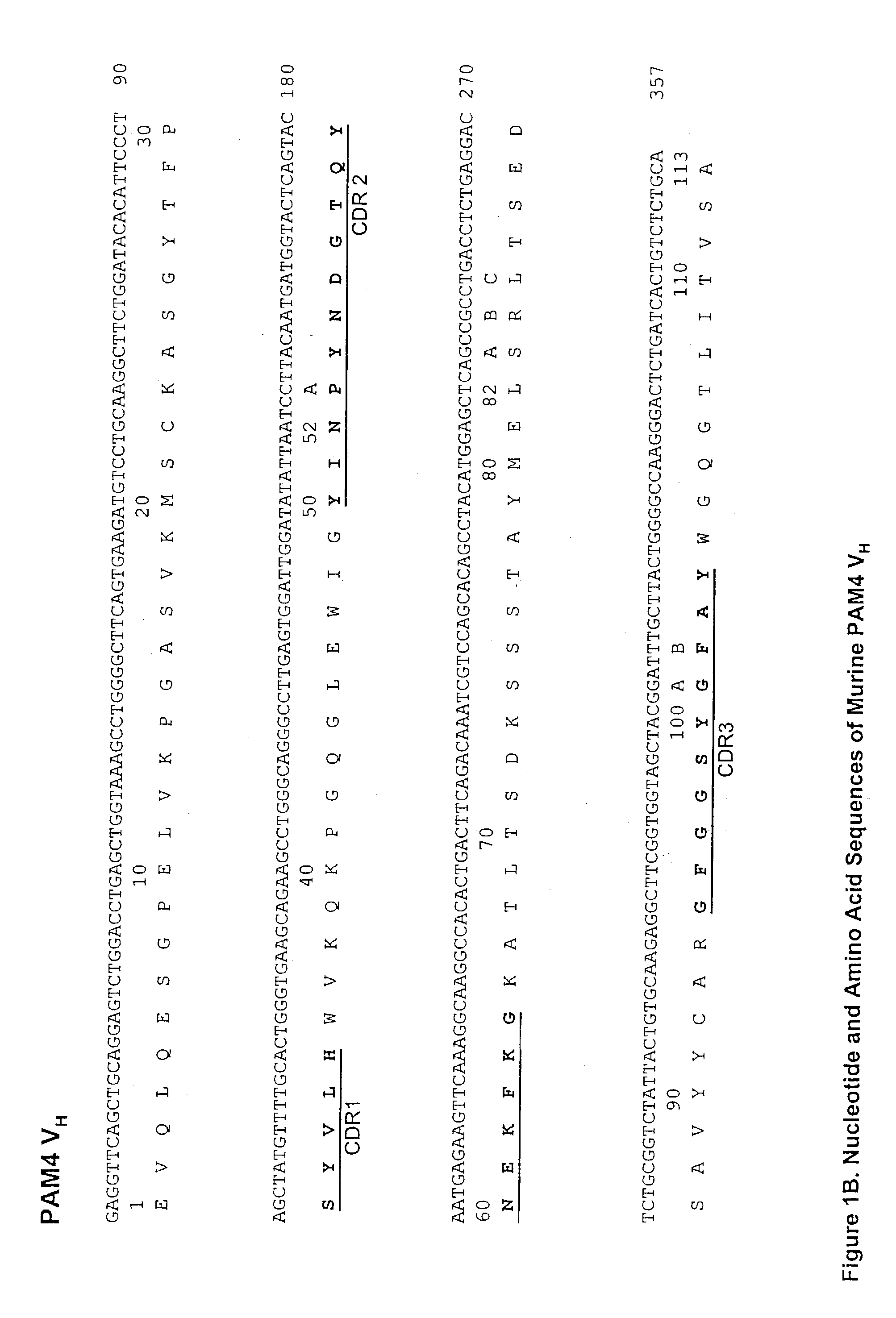 Monoclonal antibody cPAM4