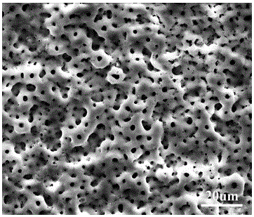 Micro-arc oxidation solution for titanium alloy strontium-containing biological coating and application of micro-arc oxidation solution