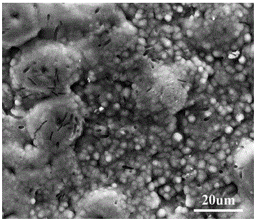 Micro-arc oxidation solution for titanium alloy strontium-containing biological coating and application of micro-arc oxidation solution