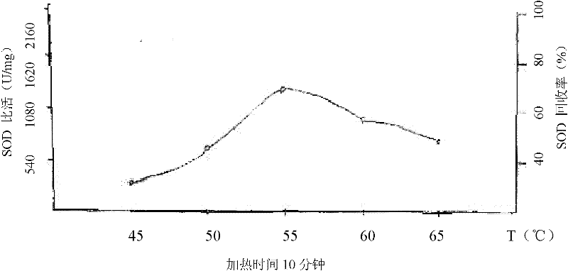 Method for extracting superoxide dismutase from cattle and sheep blood largly industrially and blade type agitator applied to same