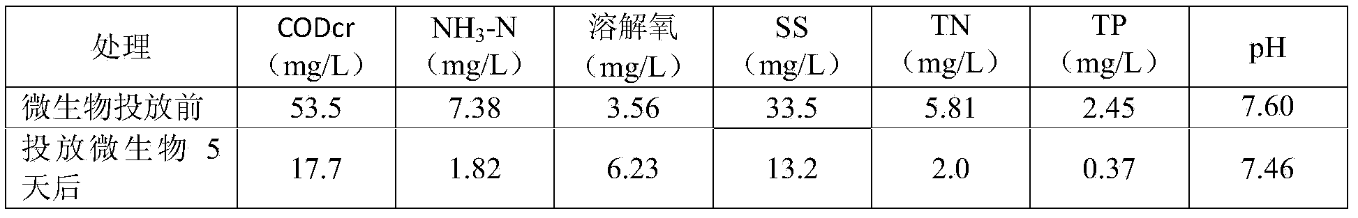 Compound microbial preparation for treating urban river water pollution and preparation method of compound microbial preparation