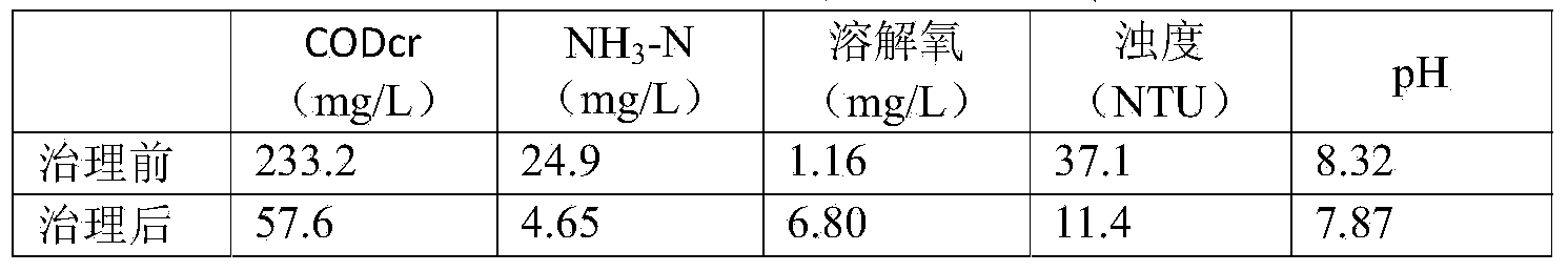 Compound microbial preparation for treating urban river water pollution and preparation method of compound microbial preparation