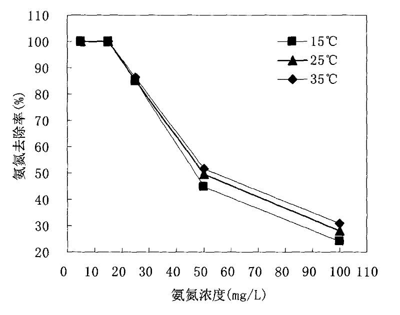 Method for preparing ammonia-nitrogen adsorbent by using leaves of Magnolia magnolia and application of adsorbent