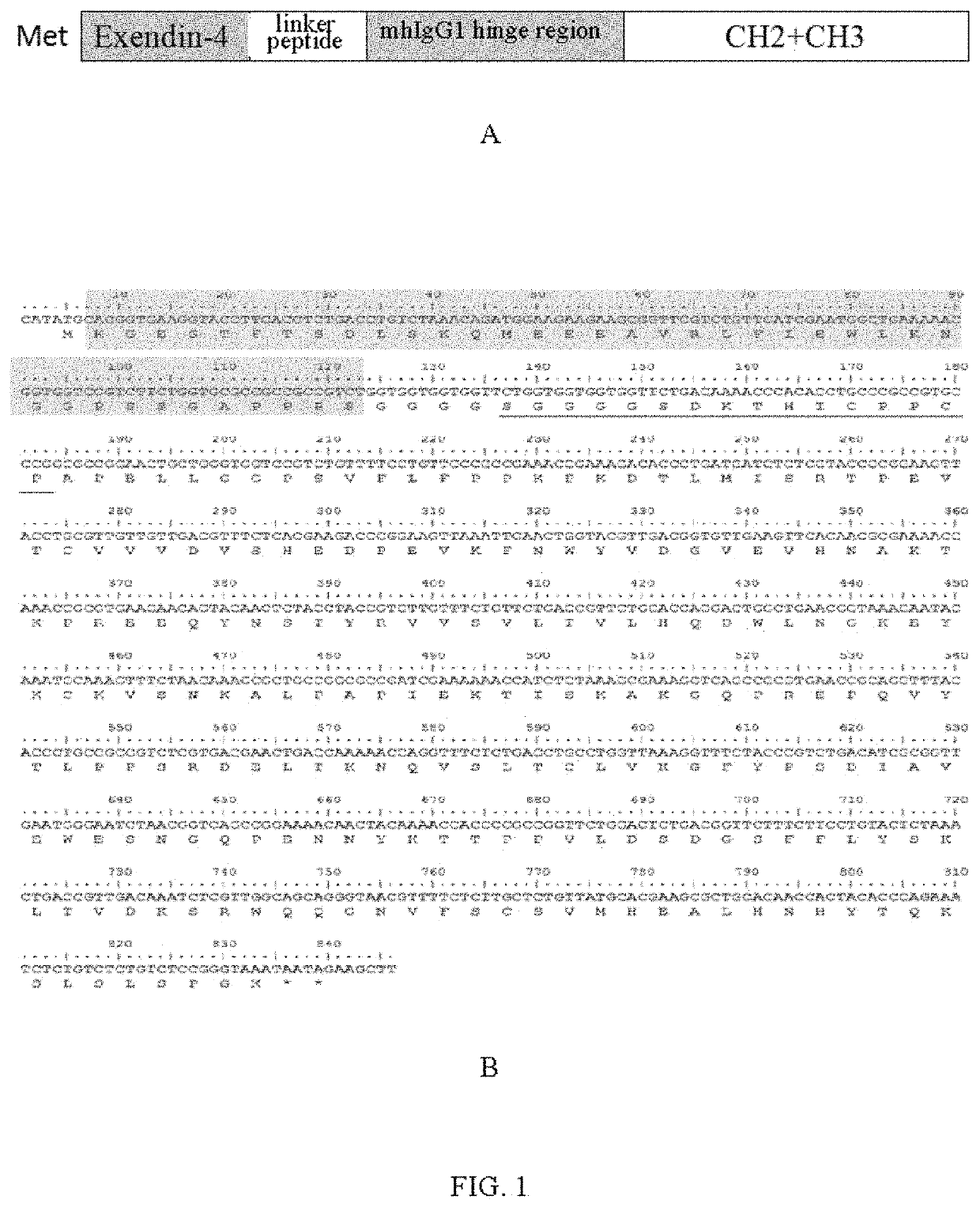 High-activity long-acting hypoglycemic fusion protein as well as preparation method and medical application thereof