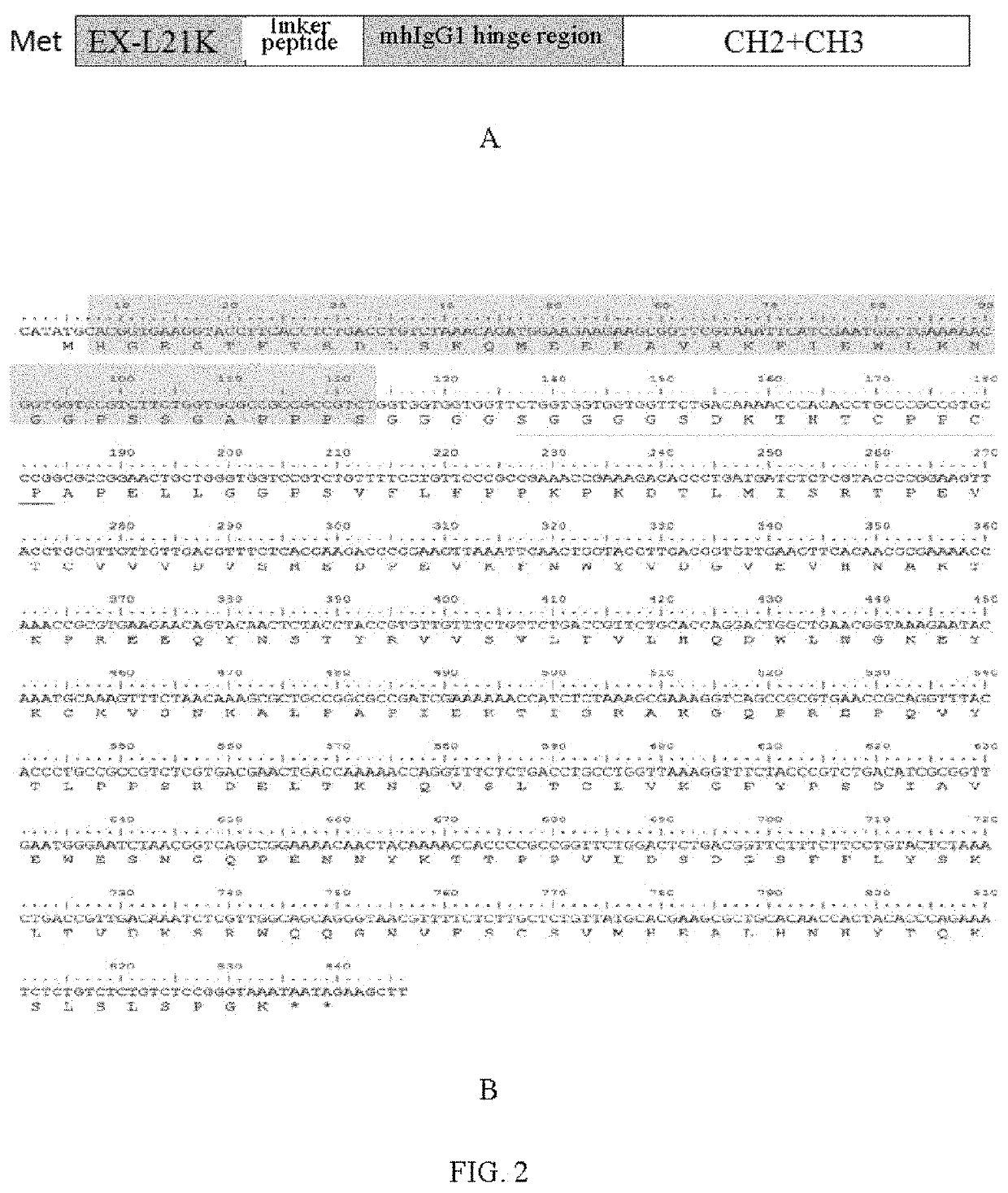 High-activity long-acting hypoglycemic fusion protein as well as preparation method and medical application thereof