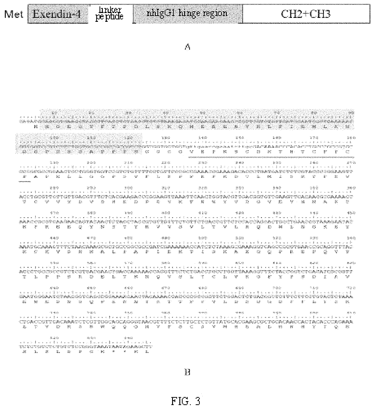 High-activity long-acting hypoglycemic fusion protein as well as preparation method and medical application thereof