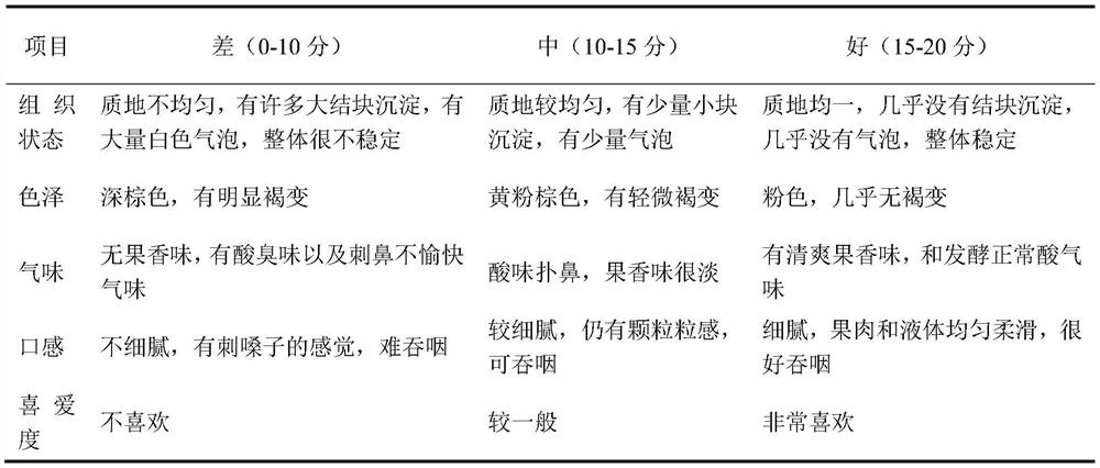 Preparation method for kadsura coccinea fruit ferment beverage