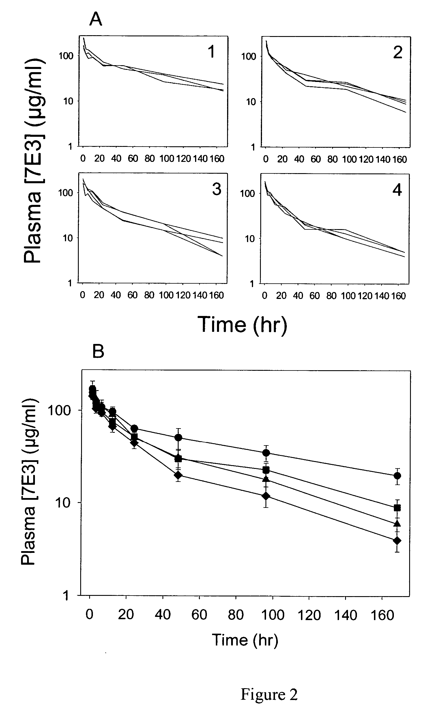 Anti-FcRn antibodies for treatment of auto/allo immune conditions