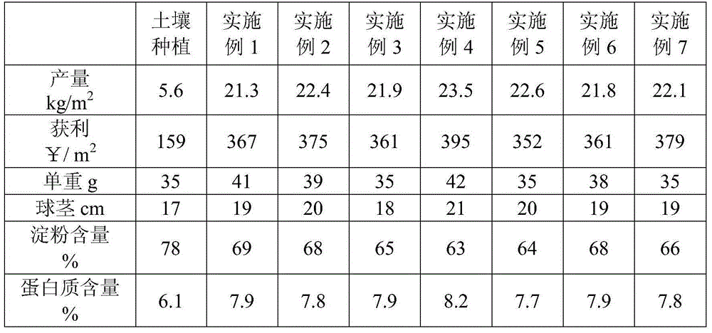 Soilless culture nutrient solution for sagittaria sagittifolia