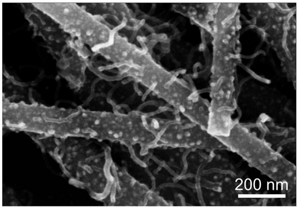 a load ni  <sub>3</sub> Preparation method of Fe-based nitrogen-doped carbon nanocomposite and its resulting materials and applications