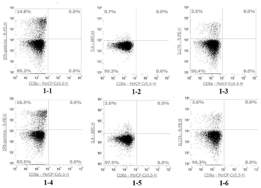 Fixing permeabilization wash buffer and preparation method thereof