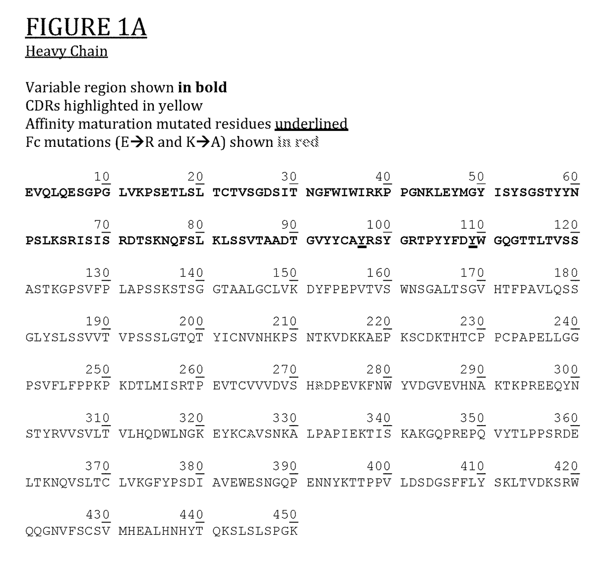 Anti-cd154 antibody having improved binding, functional and safety characteristics and use in human immunotherapy