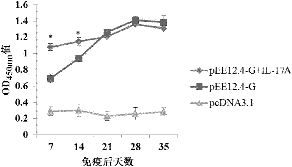 Application of IL-17A protein in preparing animal vaccine adjuvants