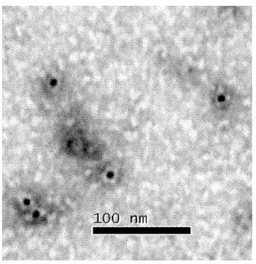 Preparation method for human papillomaviral empty capsid particles, and products thereof