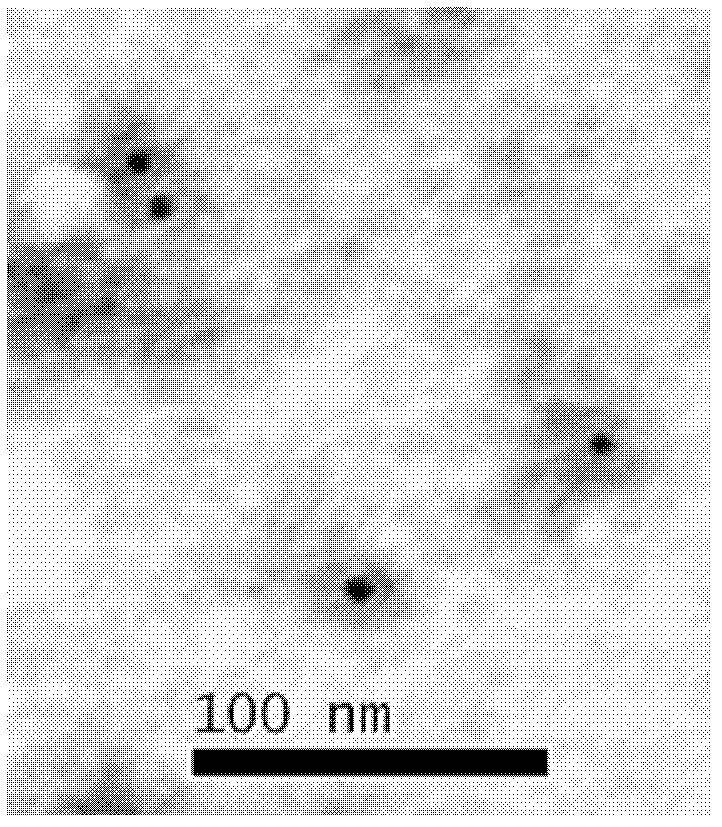 Preparation method for human papillomaviral empty capsid particles, and products thereof