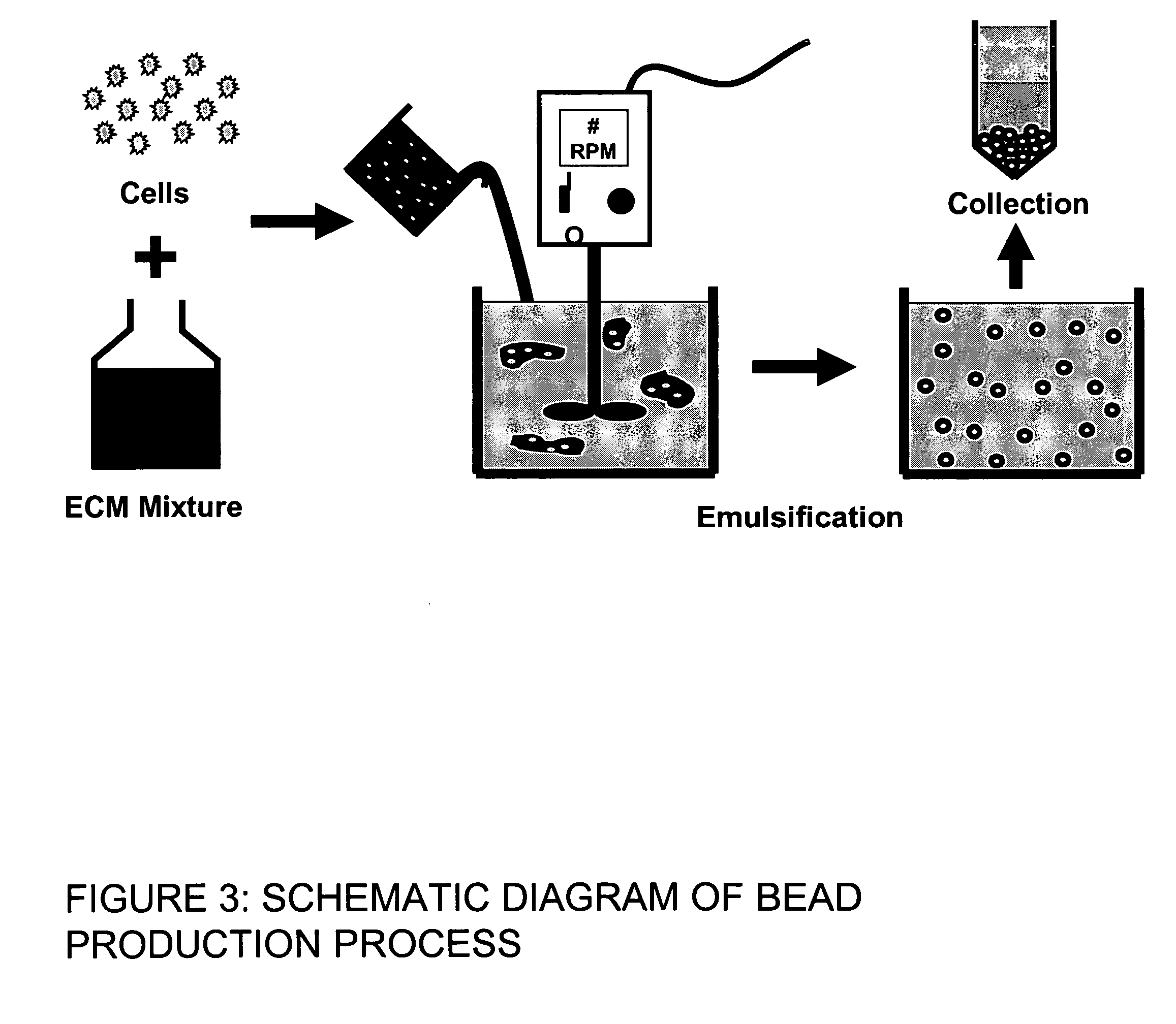 Stem cells within gel microenvironments