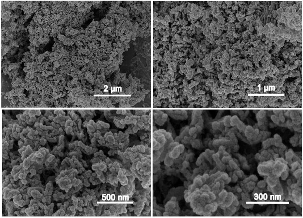 Synthesis method and application of a copper polyphenol-triazine supramolecular network structure nanocomposite