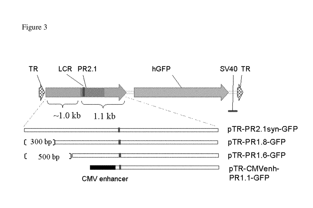 Promoters, expression cassettes, vectors, kits, and methods for the treatment of achromatopsia and other diseases