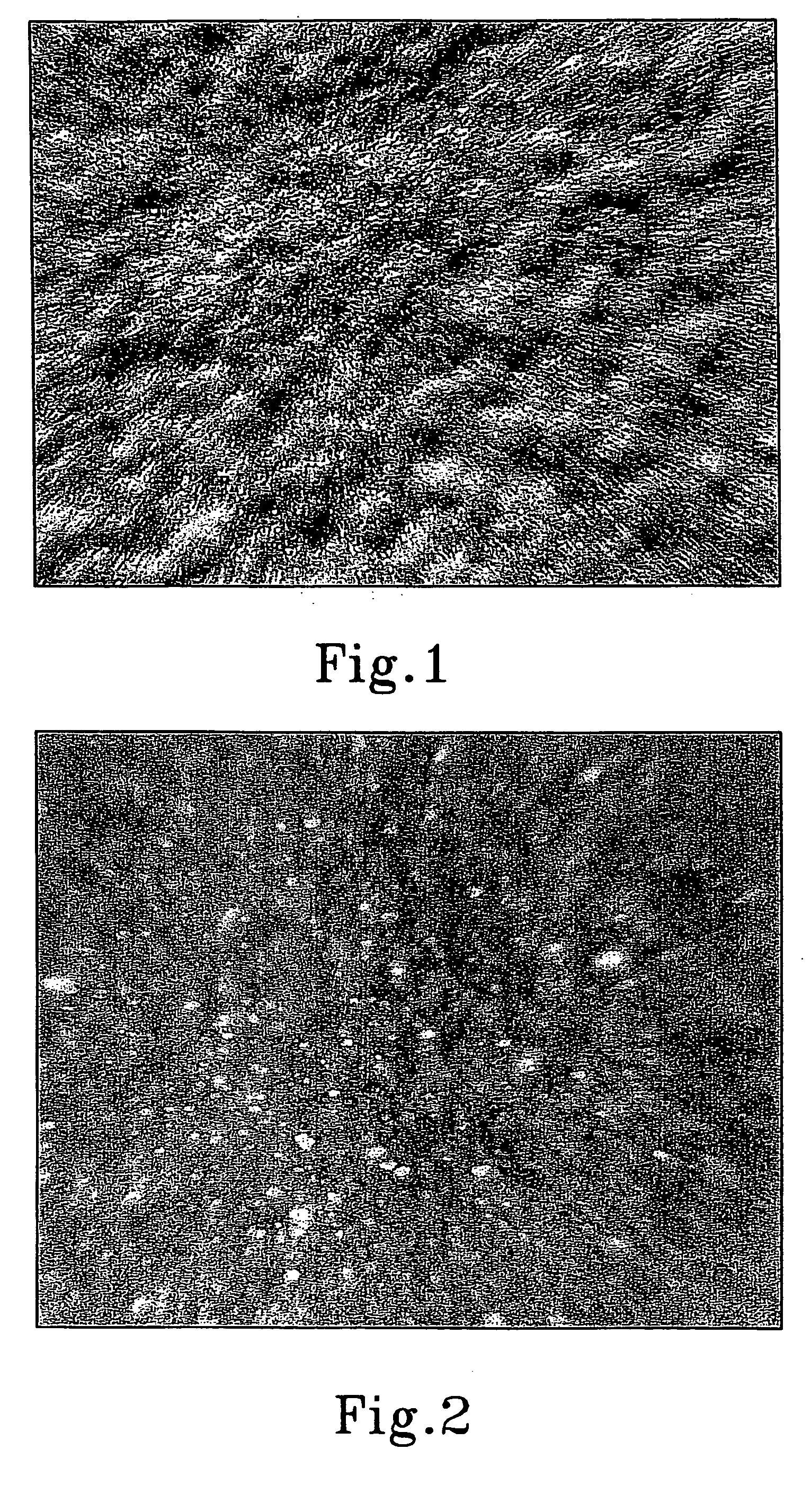 Elastomeric foam article