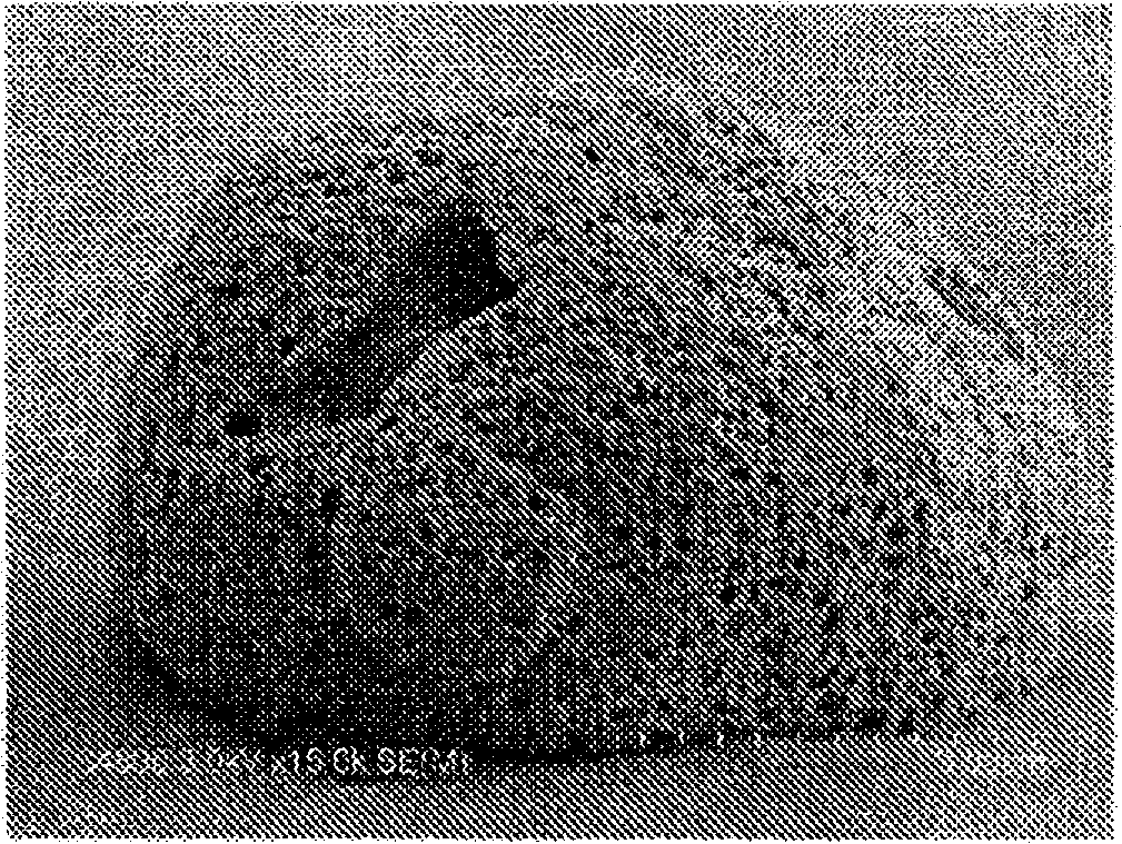 Process for production of core-shell particles, core-shell particles, and paste composition and sheet composition which contain same