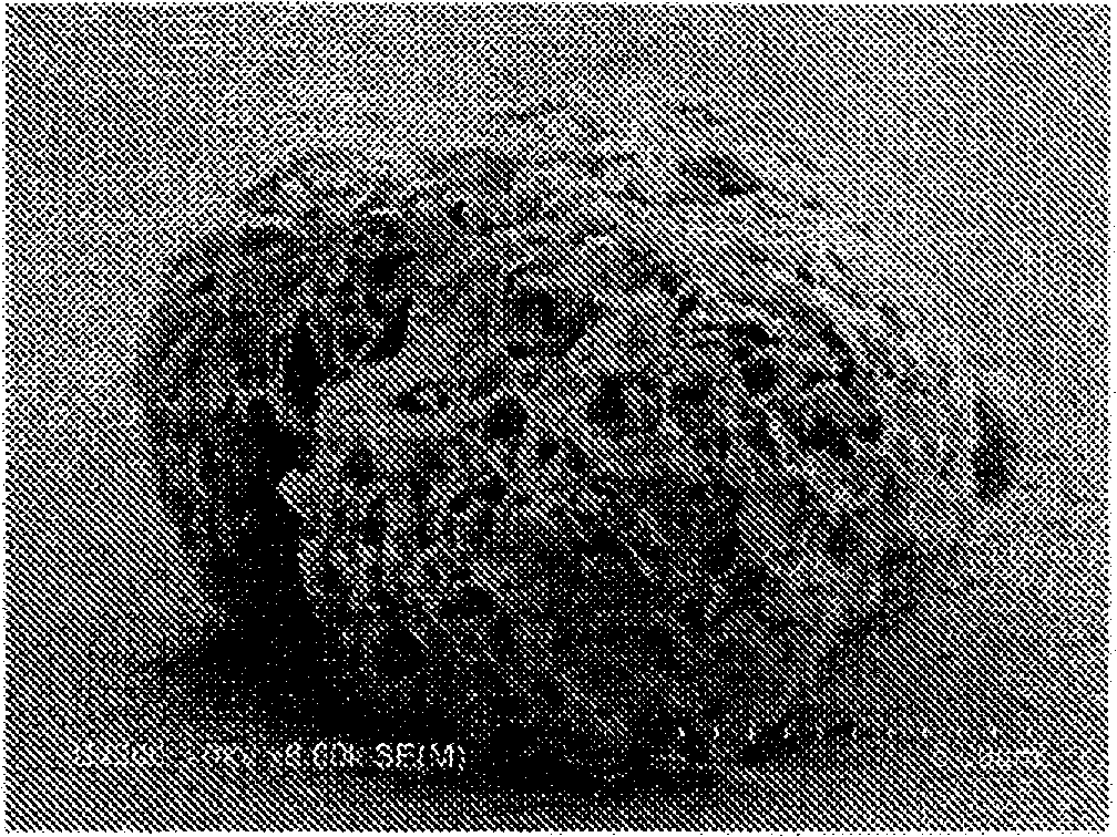 Process for production of core-shell particles, core-shell particles, and paste composition and sheet composition which contain same