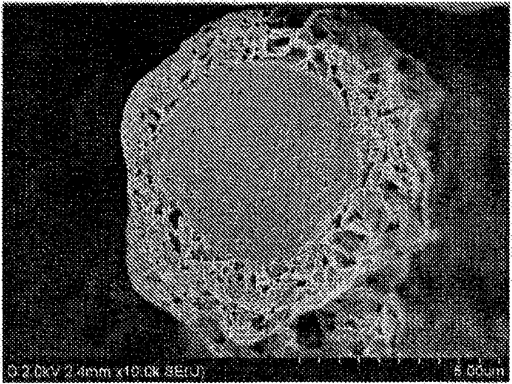 Process for production of core-shell particles, core-shell particles, and paste composition and sheet composition which contain same