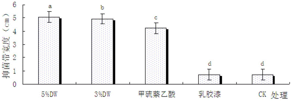 Compound bactericide and preparation method thereof