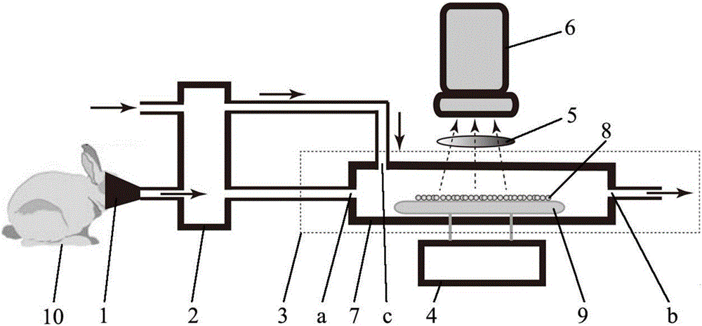 Device and method for rapidly detecting sevoflurane online