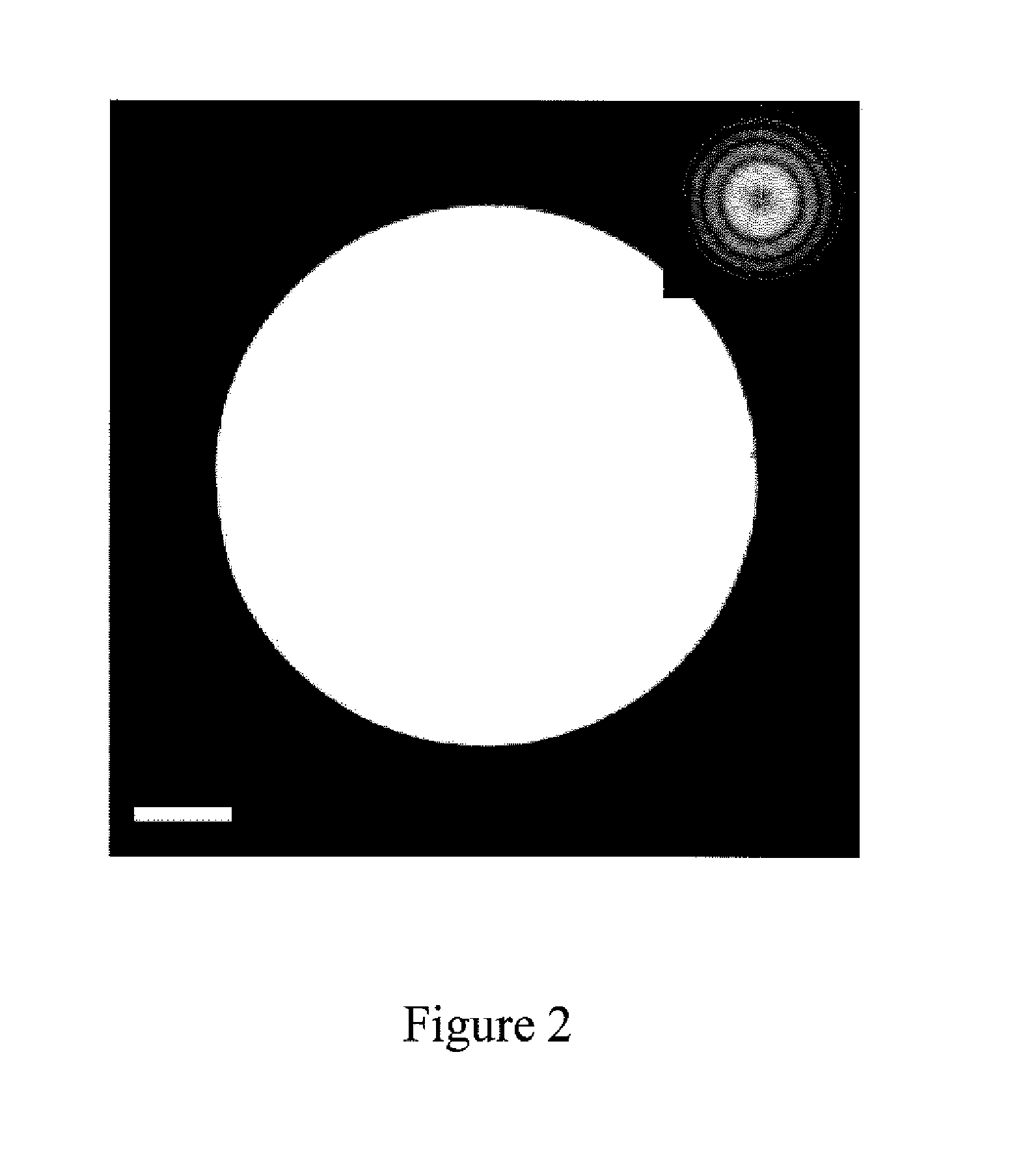 On-chip thin film zernike phase plate and applications thereof