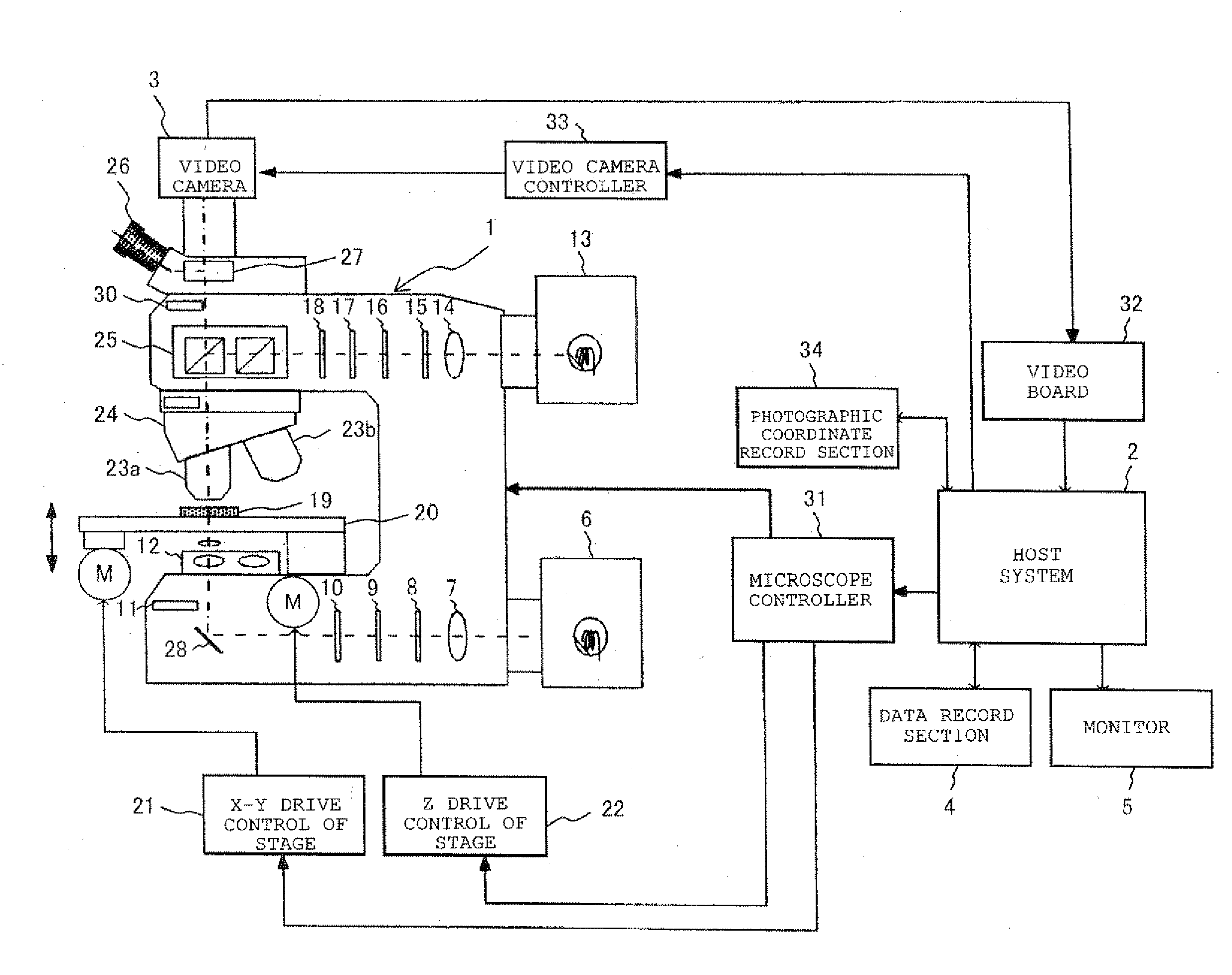 Microscope System, Image Generating Method, and Program for Practising the Same