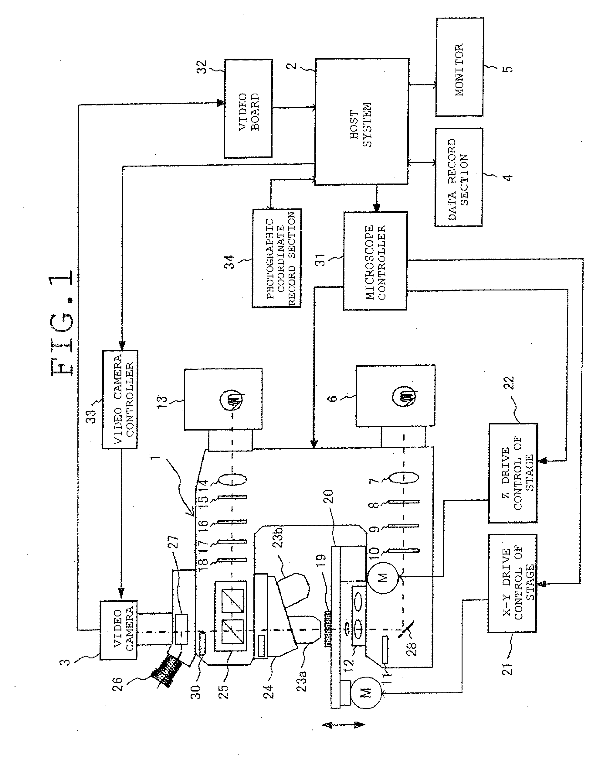 Microscope System, Image Generating Method, and Program for Practising the Same