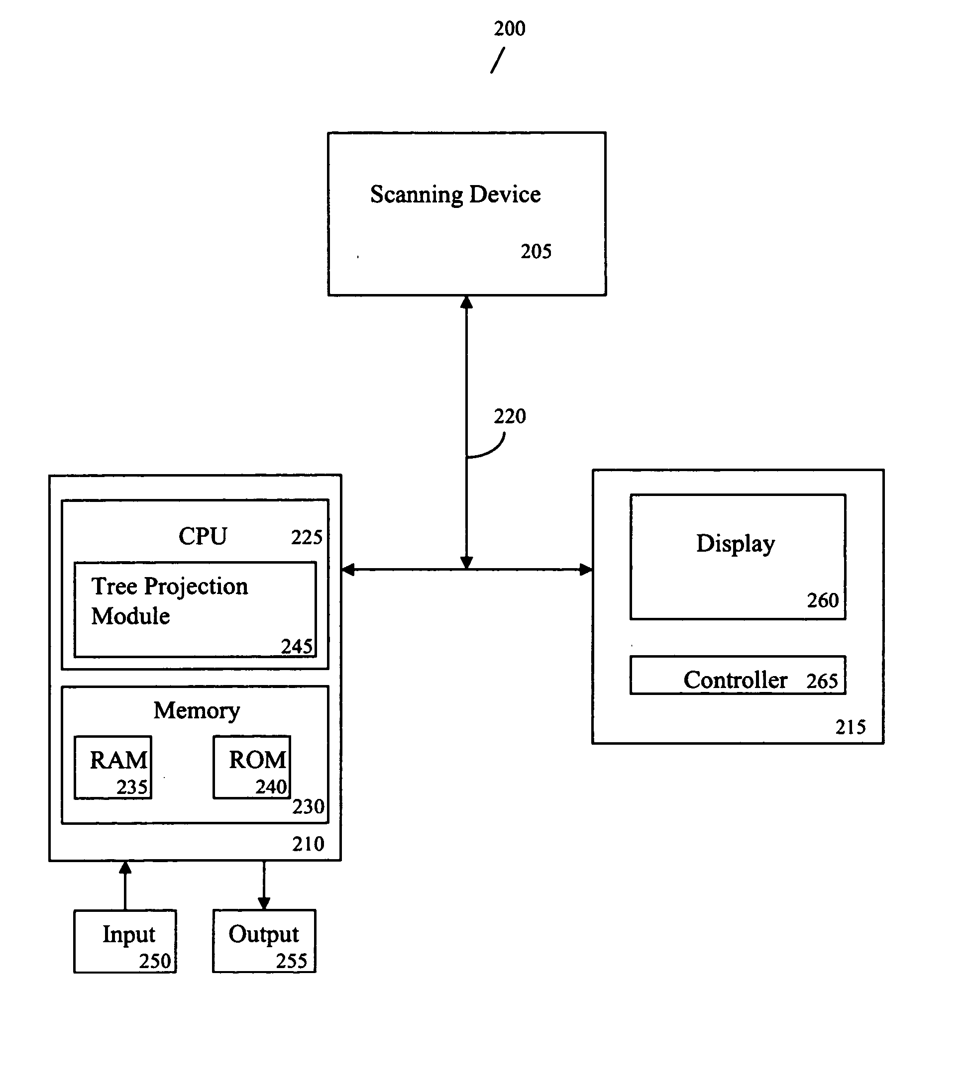 System and method for tree projection for detection of pulmonary embolism