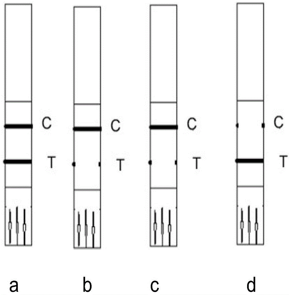 Rapid melamine detection test paper strip