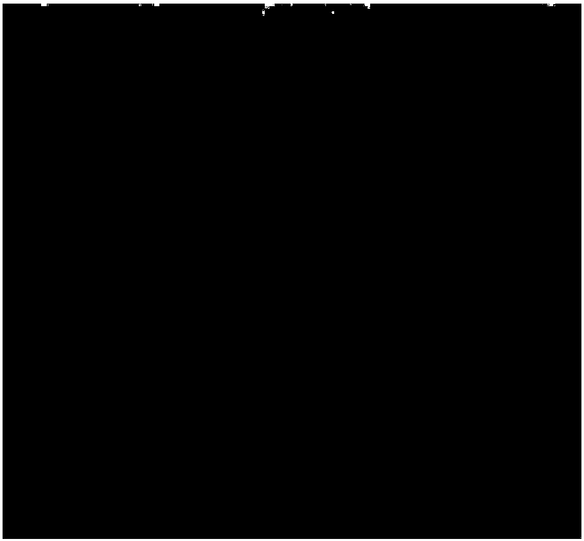 Preparation method of nickel-cobalt plated layer on inner wall of ring-shaped copper piece