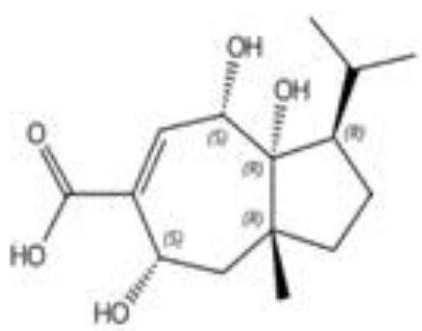 Application of roseolic acid C to preparation of medicine for preventing and/or treating epilepsy